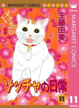 ゾッチャの日常 11 