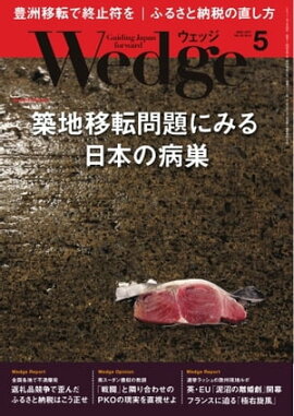 Wedge 2017年5月号 