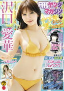 月刊ヤングマガジン 2026年No.7 [2026年6月18日発売]