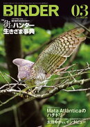 BIRDER2025年3月号