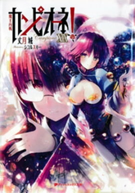 カンピオーネ！　XIX　魔王内戦 