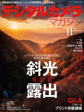 �ǥ����륫���ޥ����� 2019ǯ11��� 