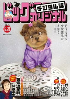 �ӥå����ߥå����ꥸ�ʥ� 2025ǯ12���2025ǯ6��5��ȯ��) 