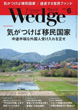 Wedge 2017年6月号 