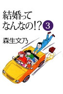 結婚ってなんなの！？3