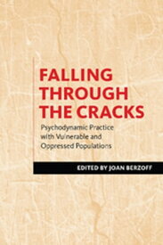 Falling Through the Cracks Psychodynamic Practice with Vulnerable and Oppressed Populations【電子書籍】