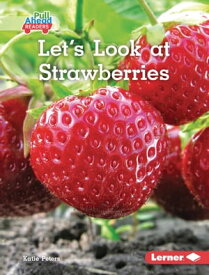Let's Look at Strawberries【電子書籍】[ Katie Peters ]