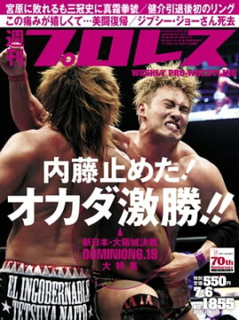 週刊プロレス 2016年 7/6号 No.1855 