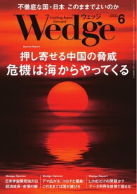 Wedge 2021年6月号【電子書籍】
