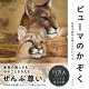 ピューマのかぞく