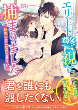 エリート警視に捕まりました〜秘密の恋は危険な香り！？〜 