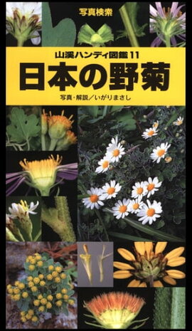 ヤマケイハンディ図鑑11 日本の野菊 