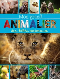 Mon grand animalier des b?b?s animaux【電子書籍】[ Marie-?ve C?t? ]