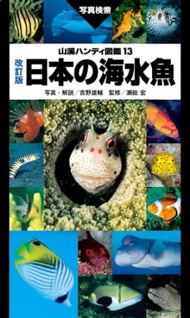 楽天kobo電子書籍ストア 美味しいマイナー魚介図鑑 ぼうずコンニャク 藤原昌高