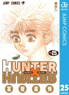 HUNTER×HUNTER モノクロ版 25 
