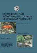 Engineering and Environmental Impacts of Sinkholes and Karts