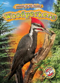 Woodpeckers【電子書籍】[ Patrick Perish ]