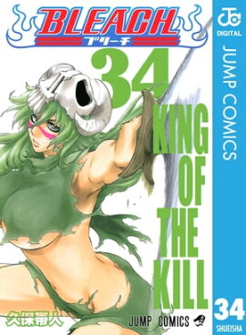 BLEACH モノクロ版 34 