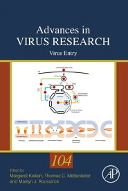 Virus Entry【電子書籍】