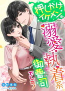 押しかけイケメンは、溺愛・執着系御曹司でした!