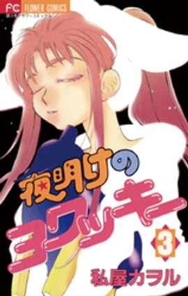 �������Υ��å����ʣ��� 