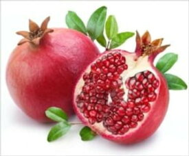 How to Grow Pomegranates【電子書籍】[ Kimba Welch ]