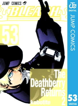 BLEACH モノクロ版 53 