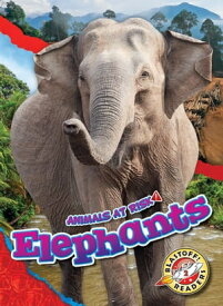 Elephants【電子書籍】[ Rachel Grack ]