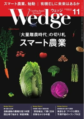 Wedge 2017年11月号 