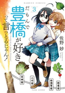 だもんで豊橋が好きって言っとるじゃん！ (3) 