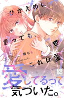 ひかえめに言っても、これは愛　プチデザ（１３）