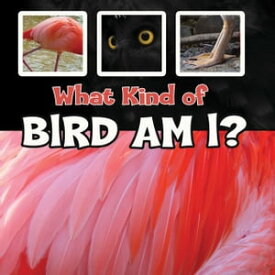 What Kind of Bird Am I?【電子書籍】[ Taylor Farley ]