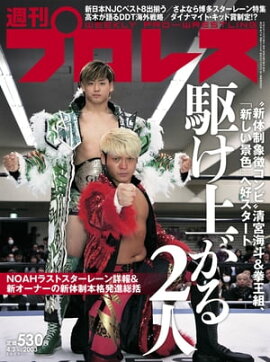 週刊プロレス 2019年 4/3号 No.2003 