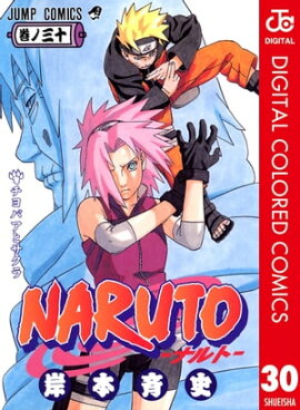 NARUTO���ʥ�ȡ� ���顼�� 30 