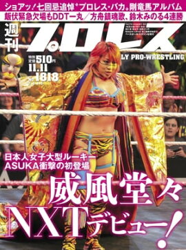 週刊プロレス 2015年 11/11号 No.1818 