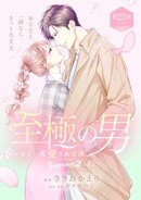 至極の男〜もう一度愛される夜［ｃｏｍｉｃ　ｔｉｎｔ］　分冊版（２３）