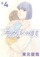 プラタナスの実（４）