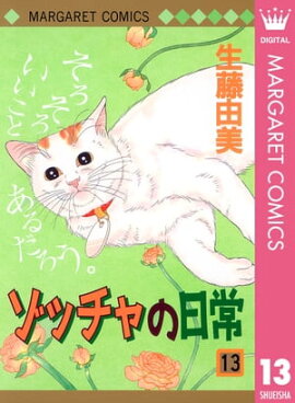 ゾッチャの日常 13 