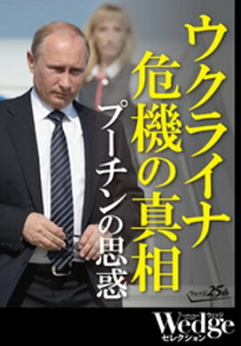 饤ʴο סλ Wedge쥯 No.35 