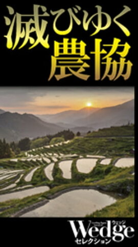 ǤӤ椯Wedge쥯 No.44 