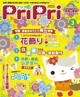 PriPri 2017ǯ3 