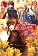 魔導師は平凡を望む 12