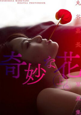 丸谷嘉長写真集「奇妙な花」上巻 