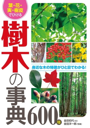 葉・花・実・樹皮でひける樹木の事典600種