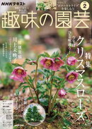 ＮＨＫ 趣味の園芸 2026年2月号［雑誌］