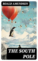 The South Pole