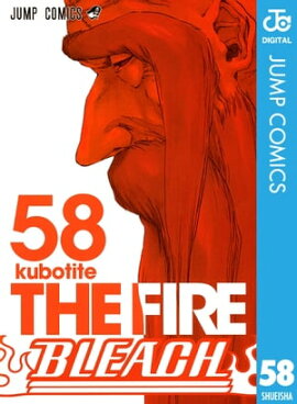 BLEACH モノクロ版 58 