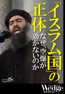 ֥פΡʤʤΤ Wedge쥯 No.37 