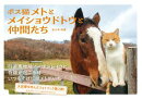 ボス猫メトとメイショウドトウと仲間たち