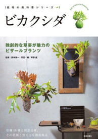 楽天市場 ビカクシダ ワンダエの通販